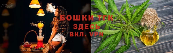 крисы Алексеевка