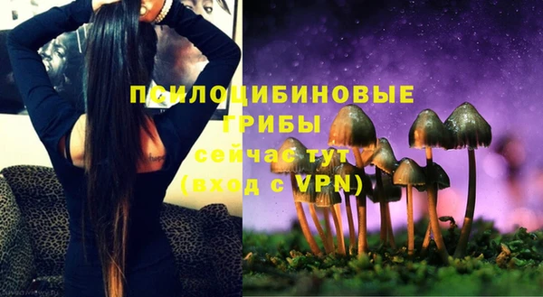 крисы Алексеевка