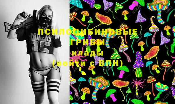 метадон Алексин