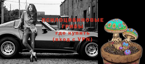 крисы Алексеевка